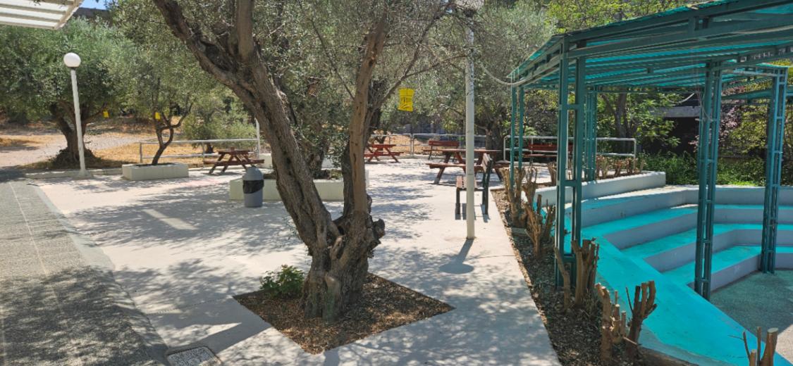 Τμήμα Χημικών Μηχανικών, Πανεπιστήμιο Πατρών