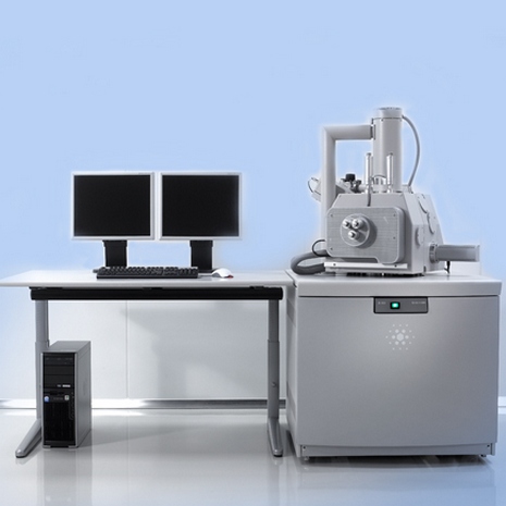 FIELD EMISSION-ENVIRONMENTAL SCANNING ELECTRON MICROSCOPE (FE-ESEM)